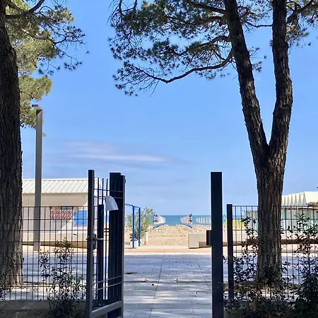 Апартаменты Seafront Apartments1 D'olivo Al Mare *